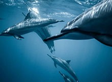 Kaiyun Sports-开云体育-谢晖：在我们的主场，我们可以与任何对手抗衡